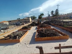 WhatsApp Image 2025-08-20 at 8.24.13 PM